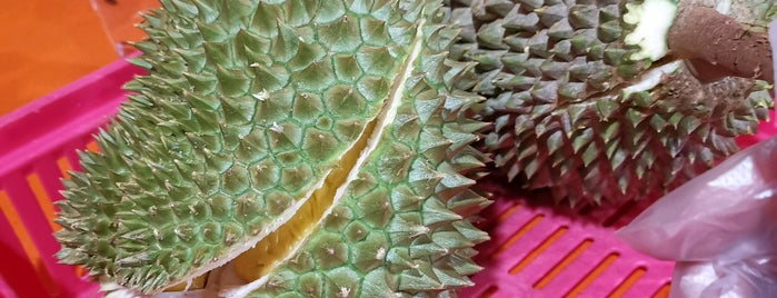 "Combat" Top Quality Durian is one of Singapore.