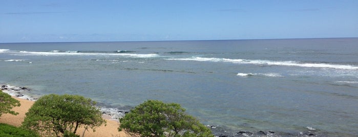 Larson Beach is one of Kauai, HI.