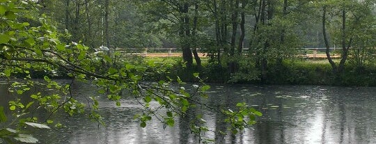 Малый пруд is one of Парк «Дубки».