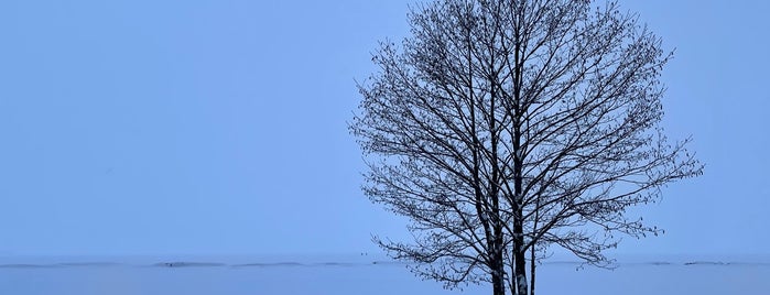 Sestroretsk Beach is one of Санкт-Петербург.