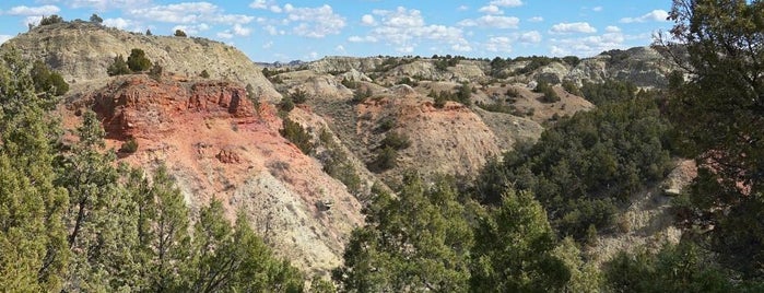 Theodore Roosevelt National Park is one of National Parks.