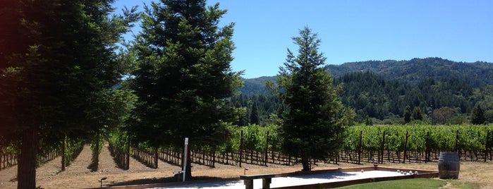 Trespass Vineyards is one of Napa + Sonoma.