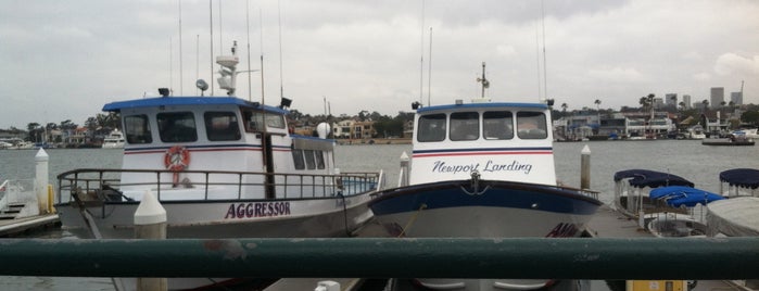 Newport Landing Whale Watching is one of Rebekah'ın Beğendiği Mekanlar.