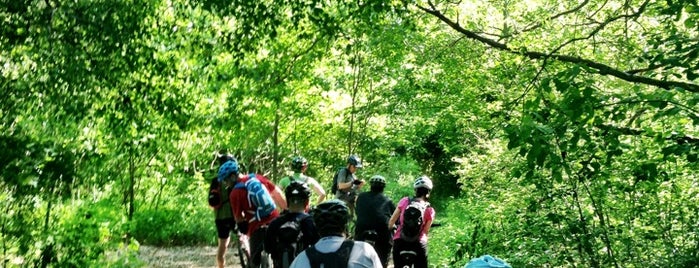 Bethpage State Park is one of Outdoors on LI.