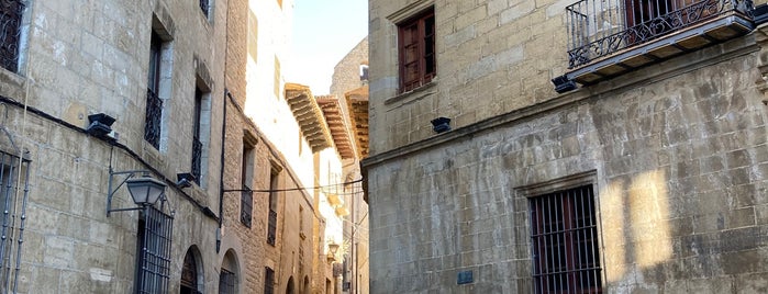 Sos del Rey Católico is one of Castillos y pueblos medievales.