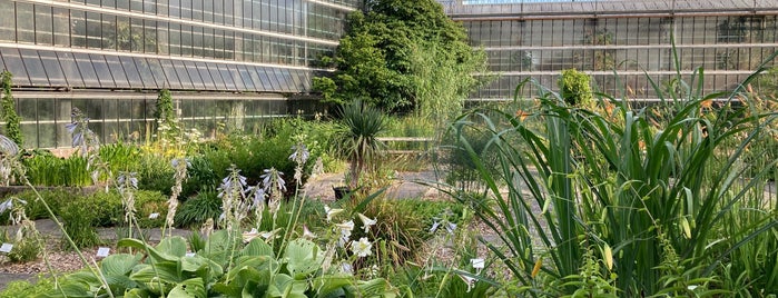 Plantentuin is one of BE_Ghent.