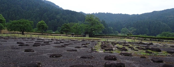Ichijodani Asakura Family Historic Ruins is one of 城・城址・古戦場等（１）.