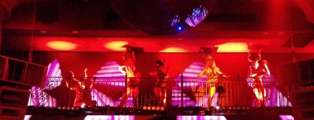 Club Adore is one of SoBe nightlife.