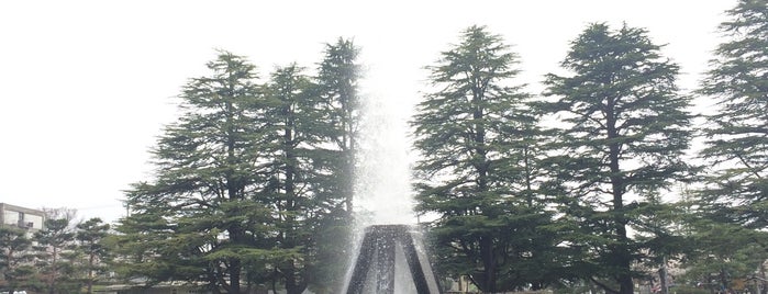 Jōyama Park is one of Nagano_Sanpo.