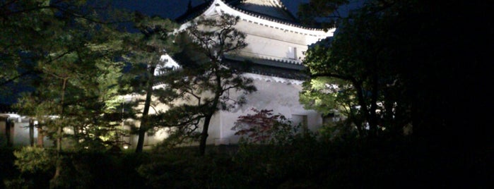二条城 is one of Kyoto UNESCO world heritage.