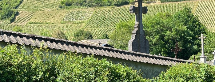 Henri Bourgeois is one of Loire.