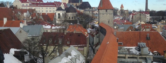Hellemani torn / Hellemann Tower is one of Lovely Tallin.