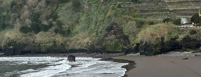 Praia do Seixal is one of Madeira.