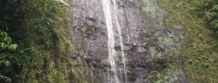 Mānoa Falls is one of Hawaii.