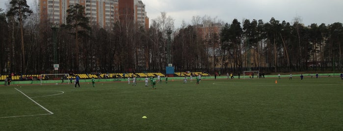 Стадион «Спартак-Пламя» is one of Стадионы команд III дивизиона.