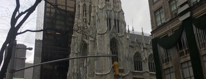 St. Patrick's Cathedral is one of Mujdat'ın Beğendiği Mekanlar.