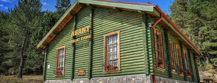 Abant Tabiat Parkı is one of Lugares favoritos de Musa.