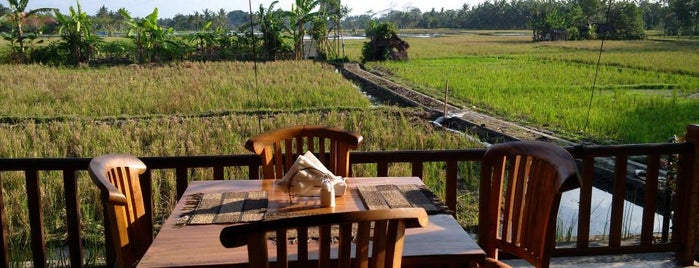Tropical View Cafe is one of Lugares favoritos de Fran.