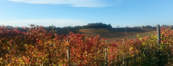 Azienda Vitivinicola Chionetti is one of Alba e Langhe.