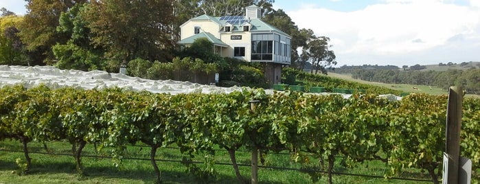 Hahndorf Hill Winery is one of Williamさんの保存済みスポット.