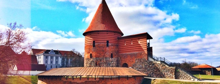 Kauno Pilis | Kaunas Castle is one of Baltikum.
