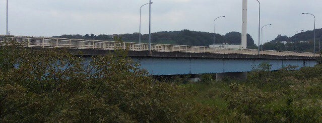 拝島橋 is one of たま　リバー50キロ（Tama River 50km course)<多摩川>.