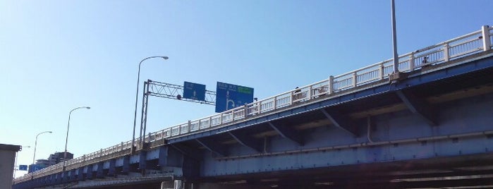 Rokugo Bridge is one of たま　リバー50キロ（Tama River 50km course)<多摩川>.