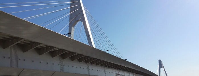 Daishi Bridge is one of たま　リバー50キロ（Tama River 50km course)<多摩川>.