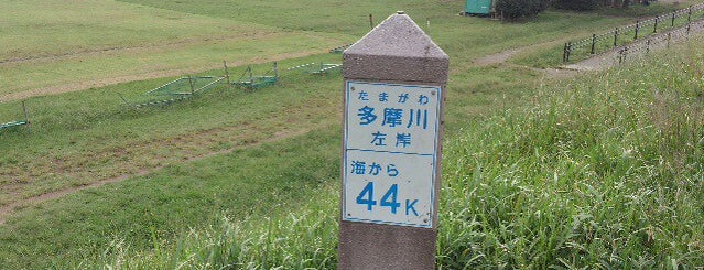 多摩川 左岸 海から44km is one of たま　リバー50キロ（Tama River 50km course)<多摩川>.