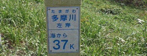 多摩川 左岸 海から37km is one of たま　リバー50キロ（Tama River 50km course)<多摩川>.
