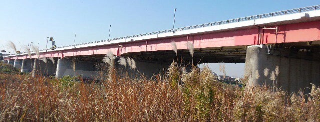 多摩川橋 is one of たま　リバー50キロ（Tama River 50km course)<多摩川>.