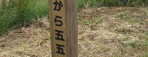 江戸川左岸 海から55km is one of 江戸川（左岸）.