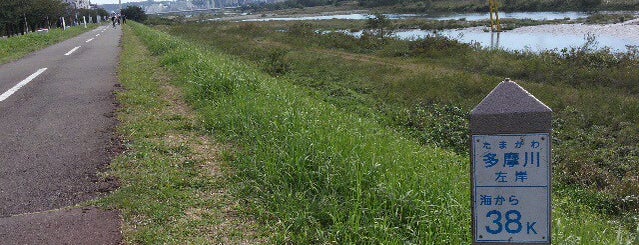 多摩川 左岸 海から38km is one of たま　リバー50キロ（Tama River 50km course)<多摩川>.