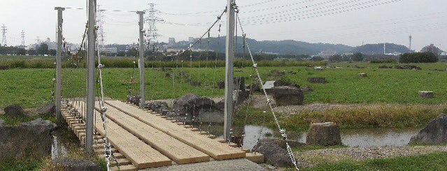 多摩川親水公園 is one of たま　リバー50キロ（Tama River 50km course)<多摩川>.