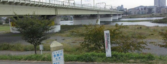 多摩川 左岸 海から23km is one of たま　リバー50キロ（Tama River 50km course)<多摩川>.
