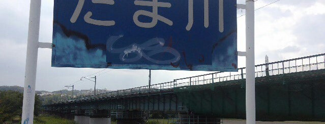 八高線 多摩川橋梁 is one of たま　リバー50キロ（Tama River 50km course)<多摩川>.