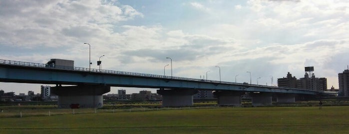 新二子橋 is one of たま　リバー50キロ（Tama River 50km course)<多摩川>.