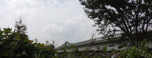 多摩橋 is one of たま　リバー50キロ（Tama River 50km course)<多摩川>.