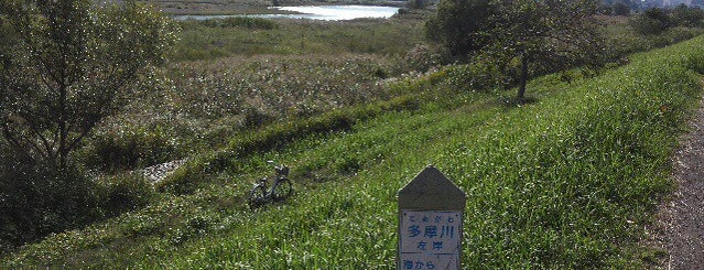 多摩川 左岸 海から33km is one of たま　リバー50キロ（Tama River 50km course)<多摩川>.