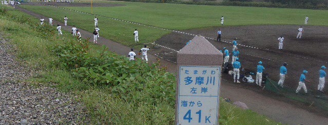 多摩川 左岸 海から41km is one of たま　リバー50キロ（Tama River 50km course)<多摩川>.