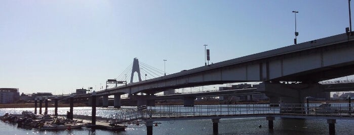 高速大師橋 is one of たま　リバー50キロ（Tama River 50km course)<多摩川>.