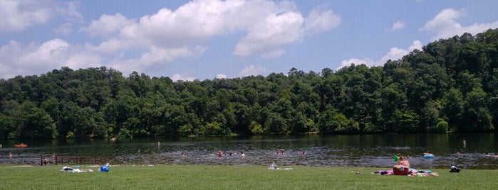 Ozark National forest / Wedington Lake is one of Fayetteville-Springdale AR.