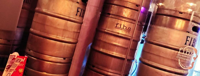 f.i.b.s. Brewing is one of Chicago area breweries.