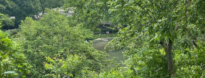 Hallett Nature Sanctuary is one of Central Park🗽.