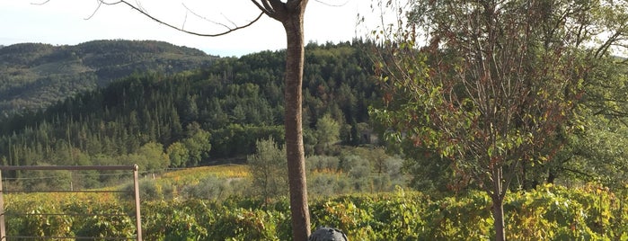 Riecine is one of Chianti Classico Producers.
