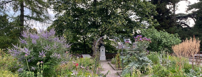 Alter Botanischer Garten is one of Nieko’s Liked Places.