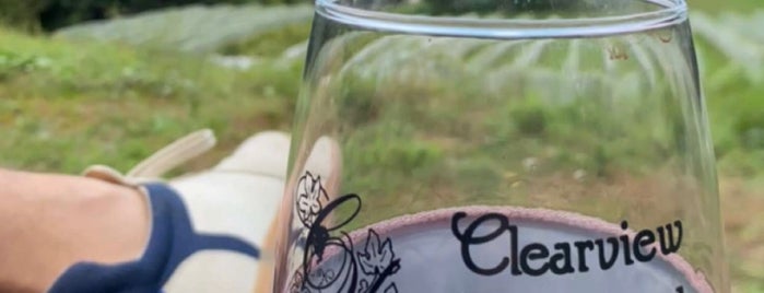 Clearview Vineyard is one of Brews, Wines And Cider.