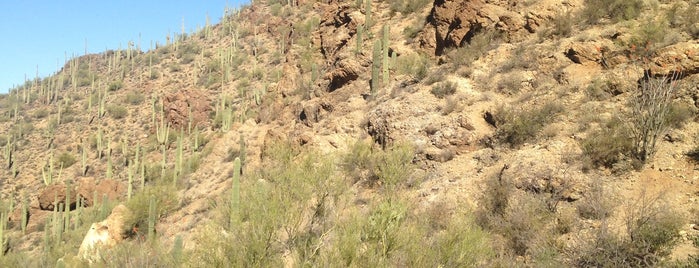 Gates Pass is one of Tucson Desert Weekend.