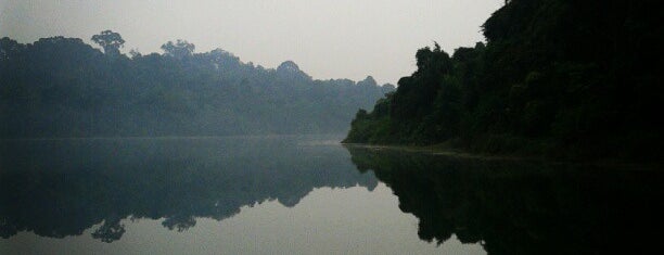 MacRitchie Reservoir Park is one of Singapore.