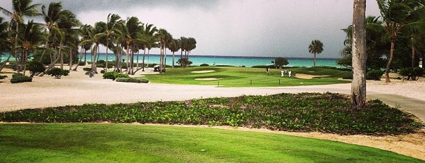 Punta Espada Golf Course is one of Lieux qui ont plu à Nelson V..